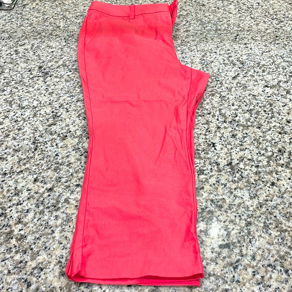 Lane Bryant 14 stretchy ankle by pants